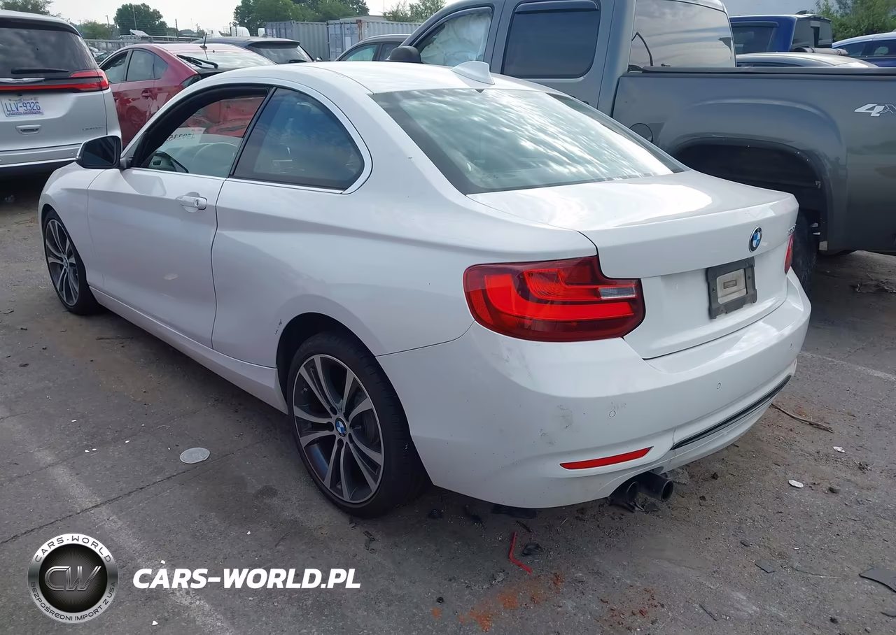2016 BMW 228I VIN:WBA1F9C56GV742427 - 3