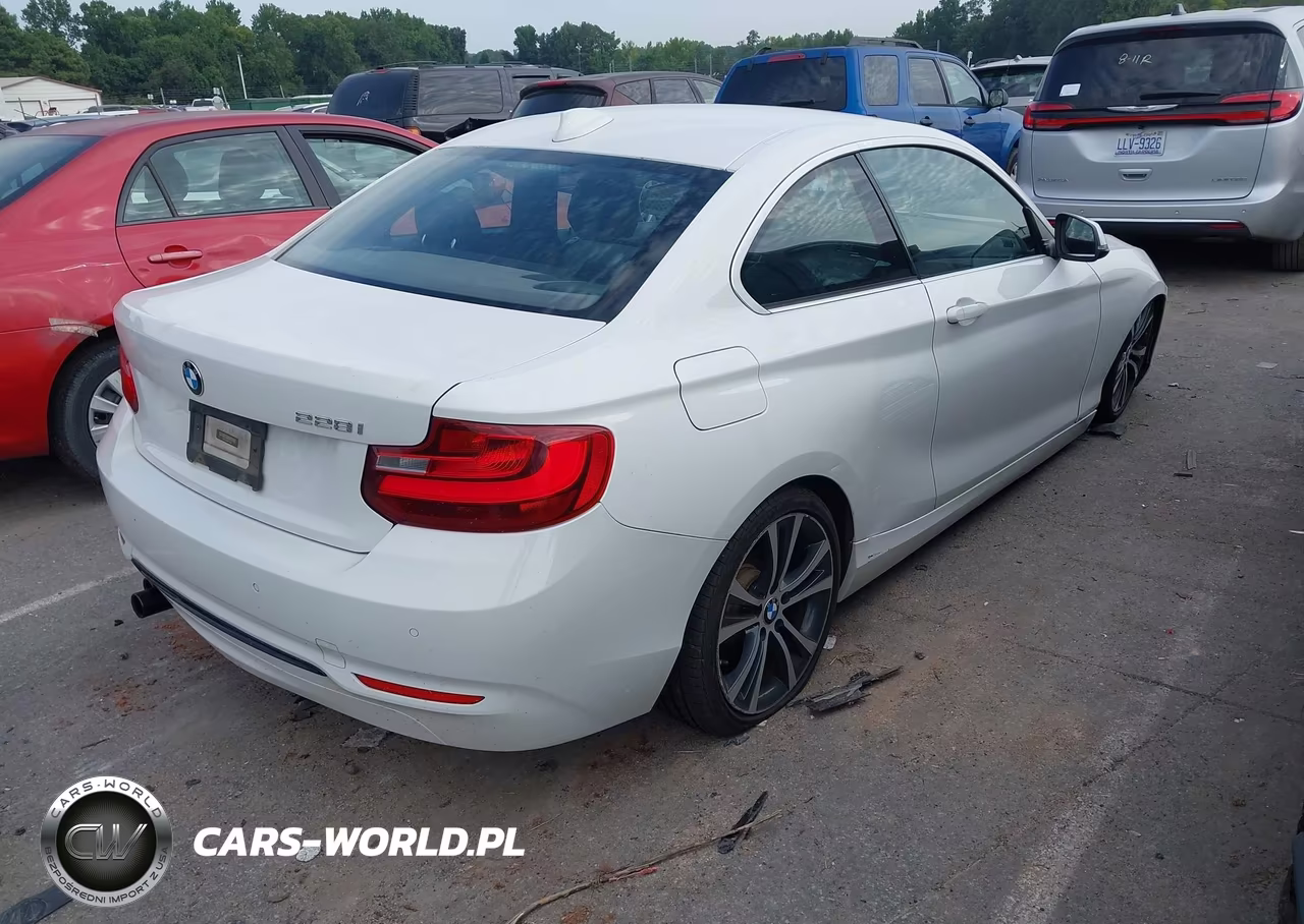 2016 BMW 228I VIN:WBA1F9C56GV742427 - 4