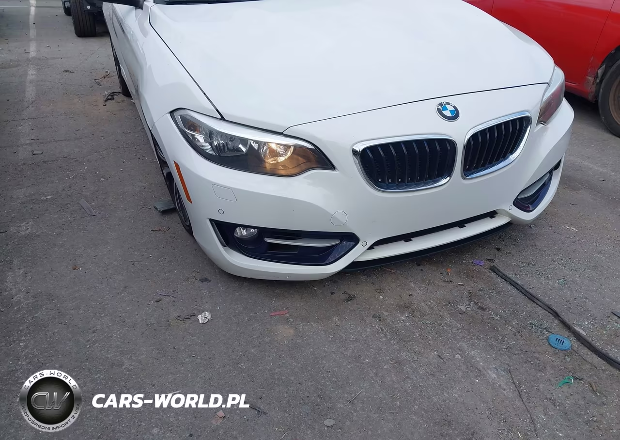 2016 BMW 228I VIN:WBA1F9C56GV742427 - 6