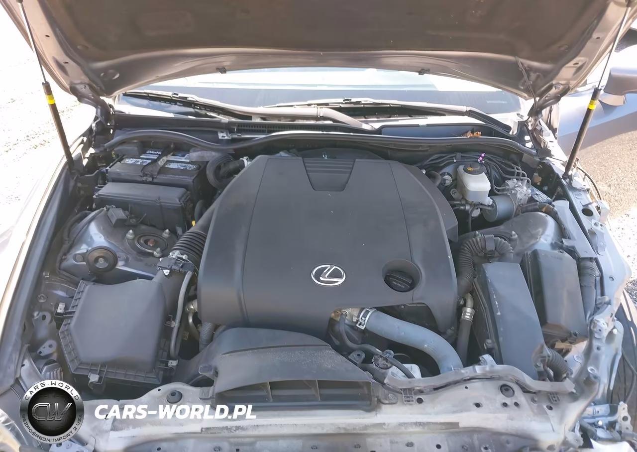 2015 Lexus Is 250 VIN:JTHBF1D21F5051137 - 10