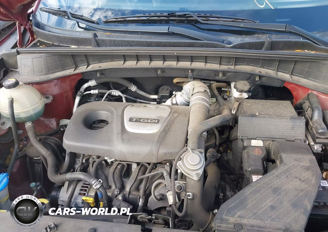 2017 Hyundai Tucson Sport VIN:KM8J3CA29HU396104 - 10