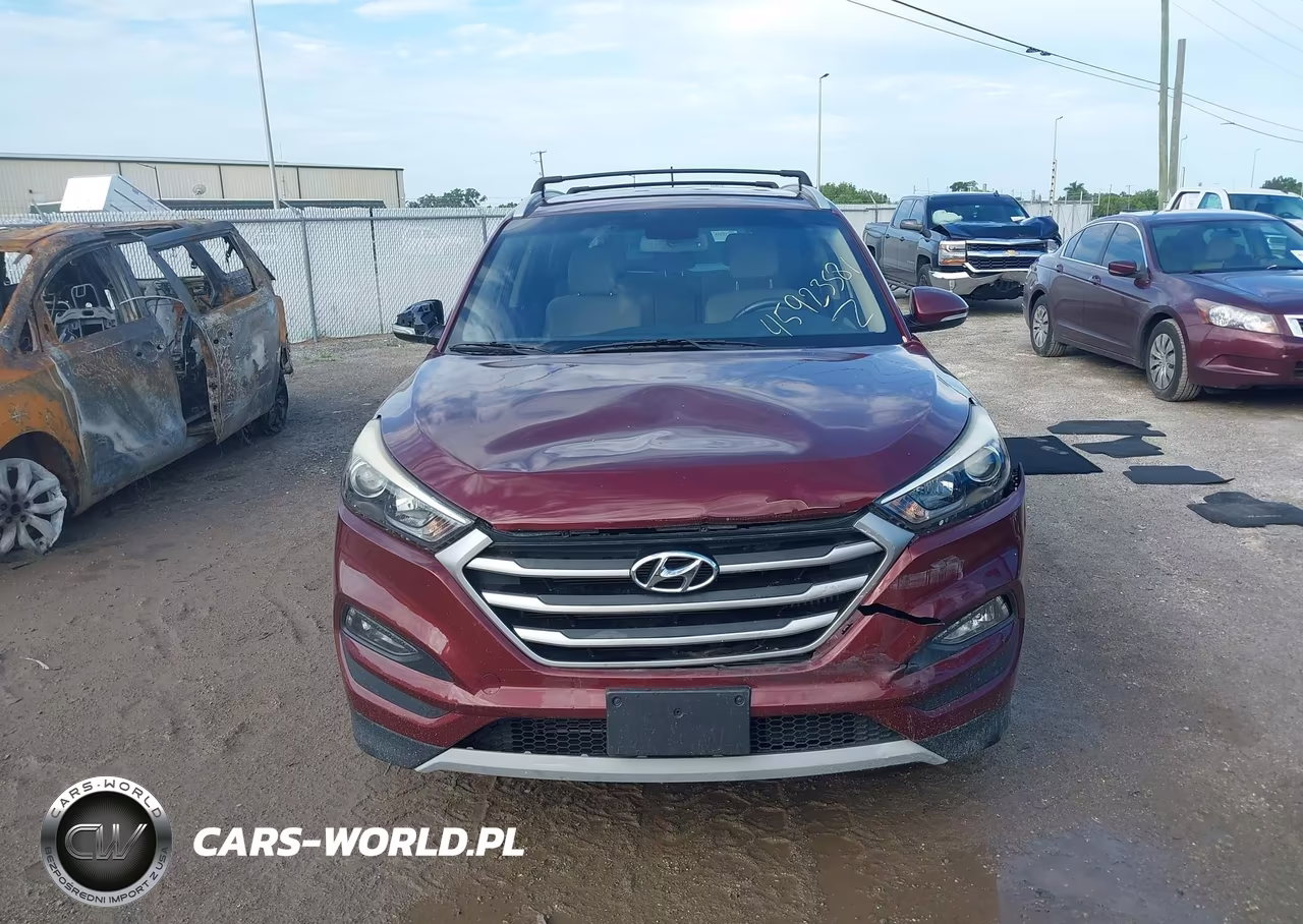2017 Hyundai Tucson Sport VIN:KM8J3CA29HU396104 - 12