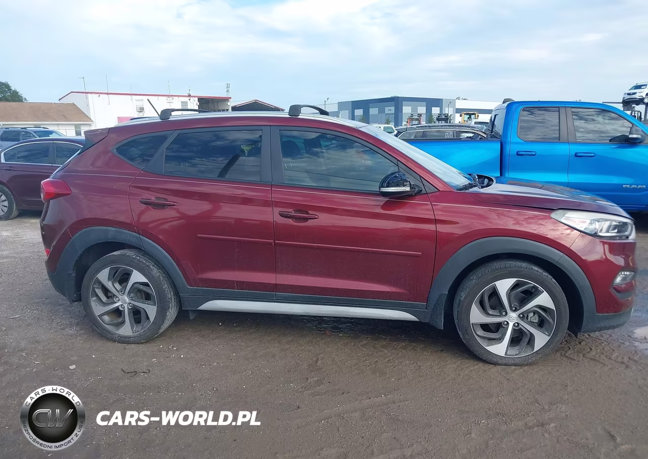 2017 Hyundai Tucson Sport VIN:KM8J3CA29HU396104 - 13