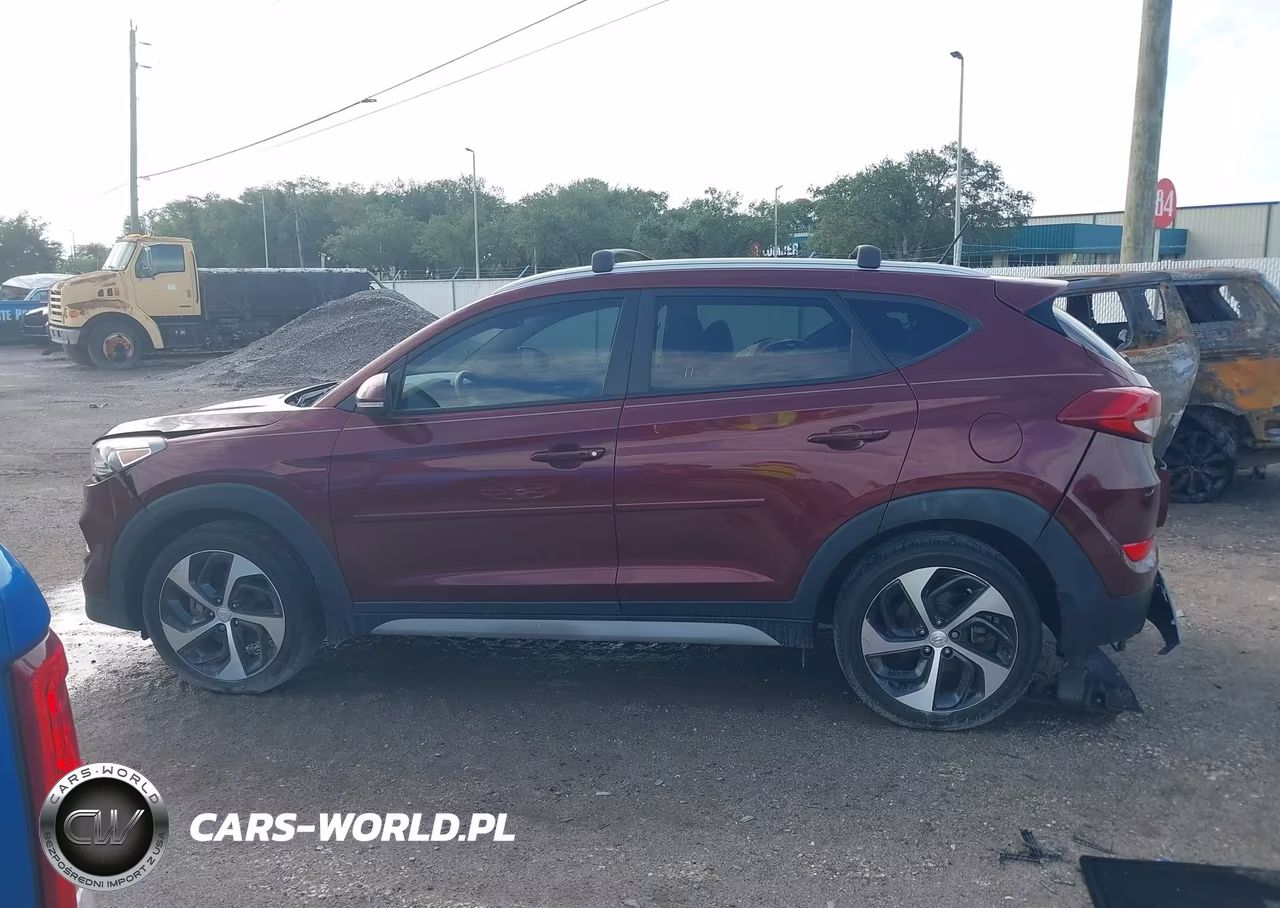 2017 Hyundai Tucson Sport VIN:KM8J3CA29HU396104 - 14