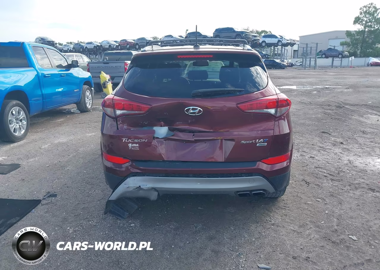 2017 Hyundai Tucson Sport VIN:KM8J3CA29HU396104 - 16
