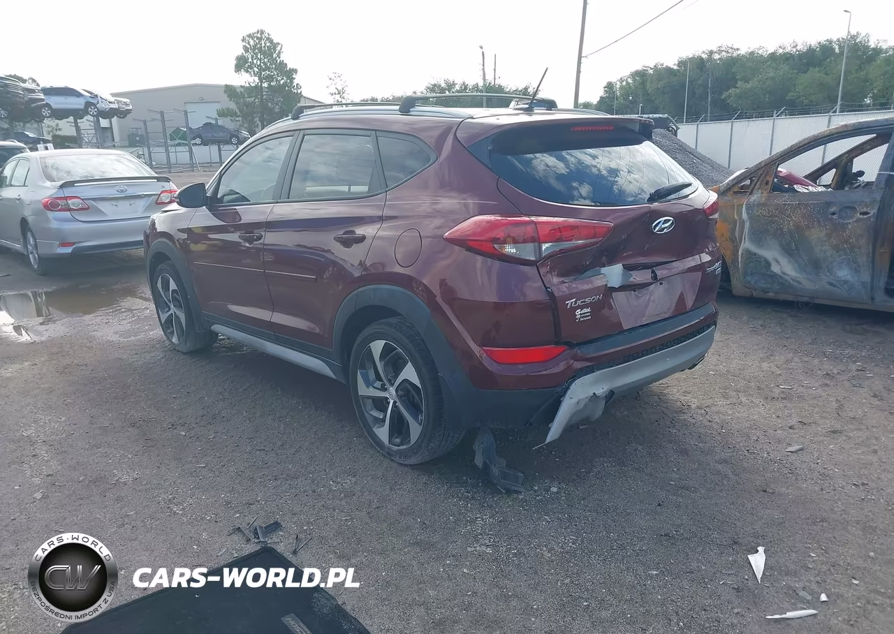 2017 Hyundai Tucson Sport VIN:KM8J3CA29HU396104 - 3