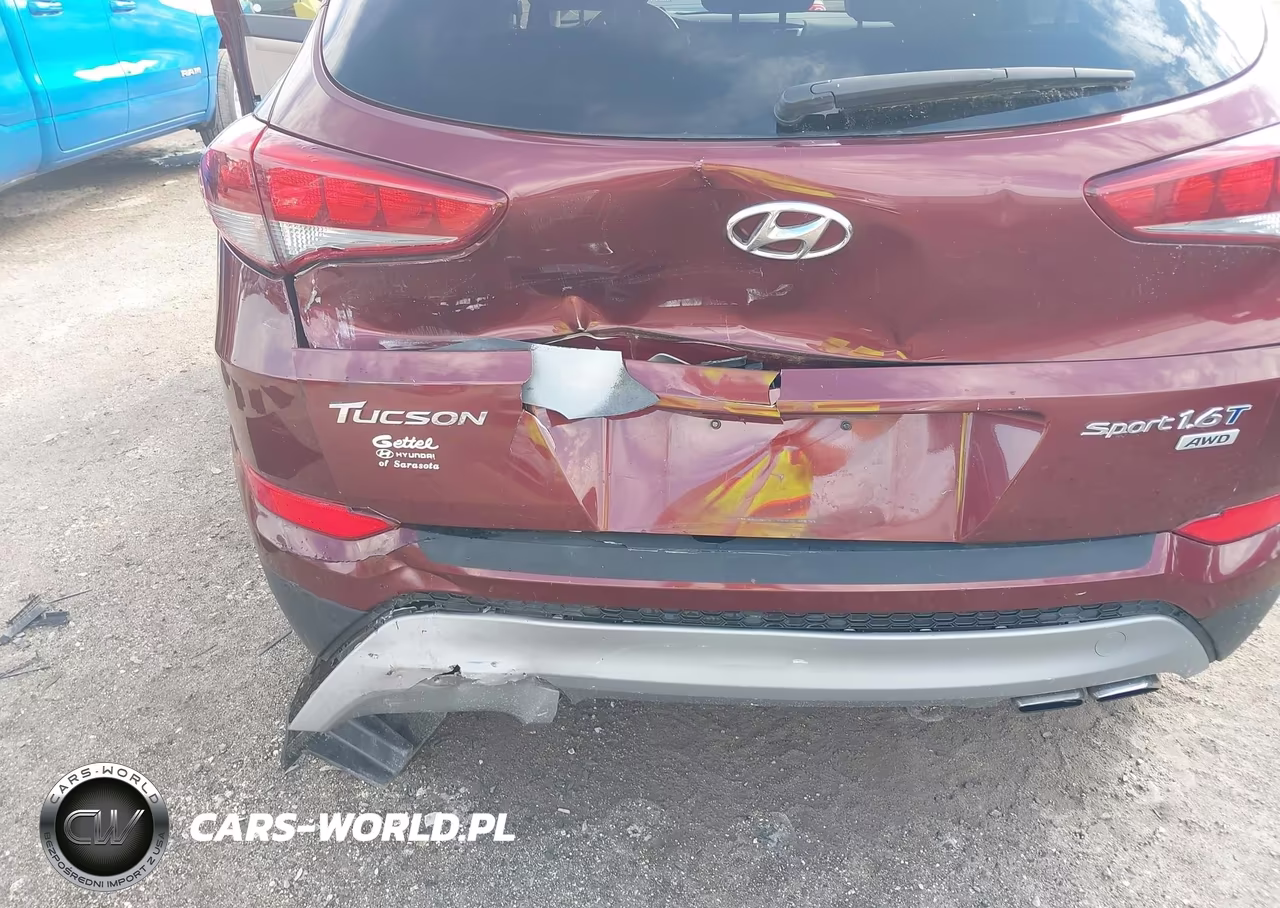 2017 Hyundai Tucson Sport VIN:KM8J3CA29HU396104 - 6