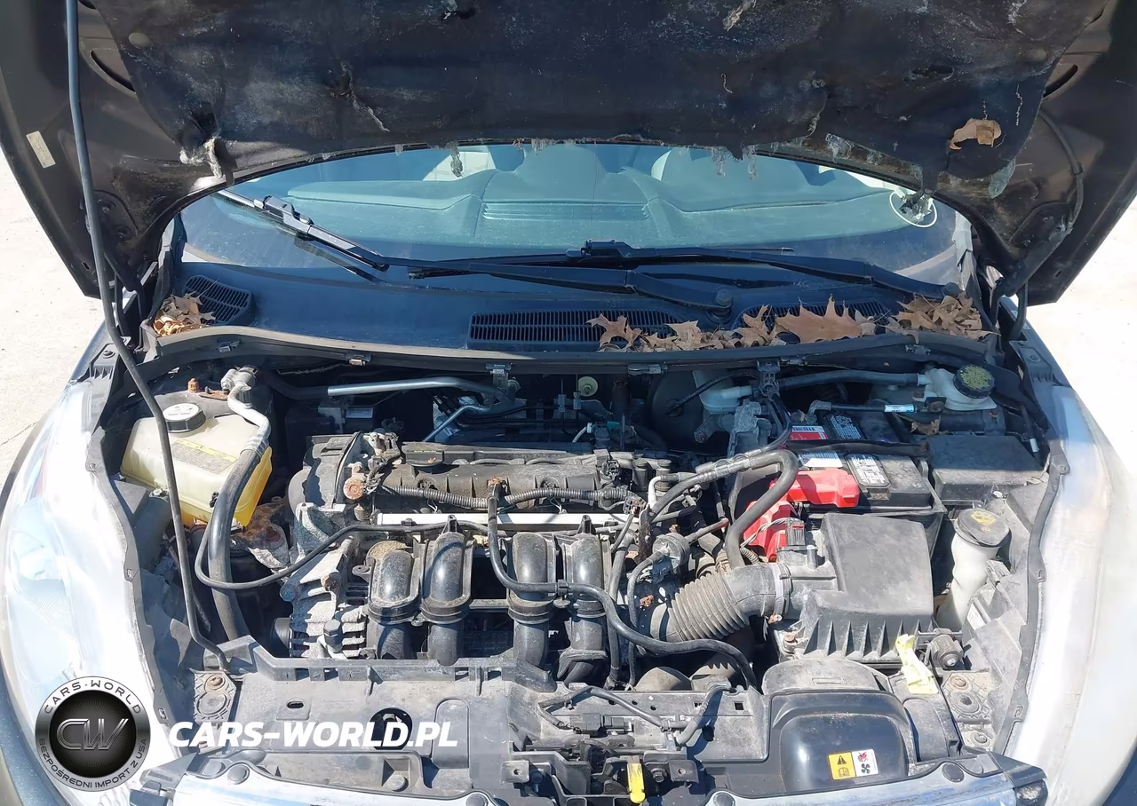 2013 Ford Fiesta Se VIN:3FADP4BJ7DM193301 - 9