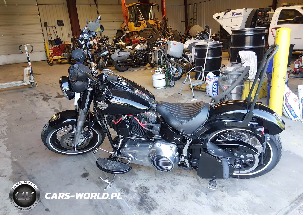 2014 Harley-Davidson Fls Softail Slim VIN:1HD1JRV11EB030447 - 14