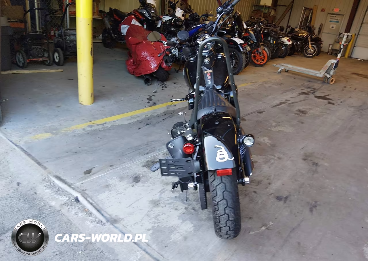 2014 Harley-Davidson Fls Softail Slim VIN:1HD1JRV11EB030447 - 6
