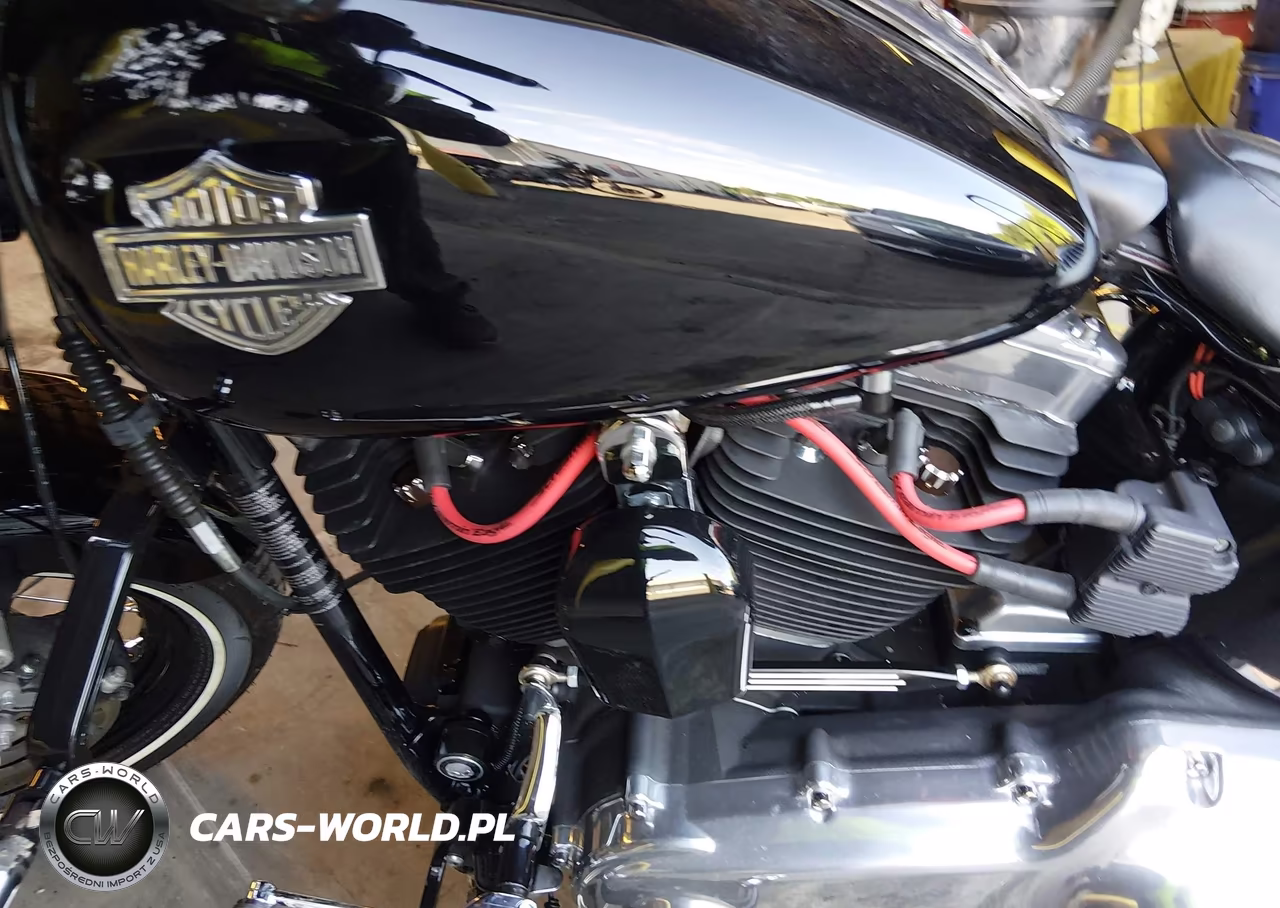 2014 Harley-Davidson Fls Softail Slim VIN:1HD1JRV11EB030447 - 9