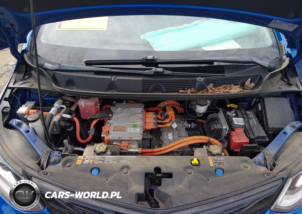 2020 Chevrolet Bolt Ev Fwd Premier VIN:1G1FZ6S01L4147238 - 10