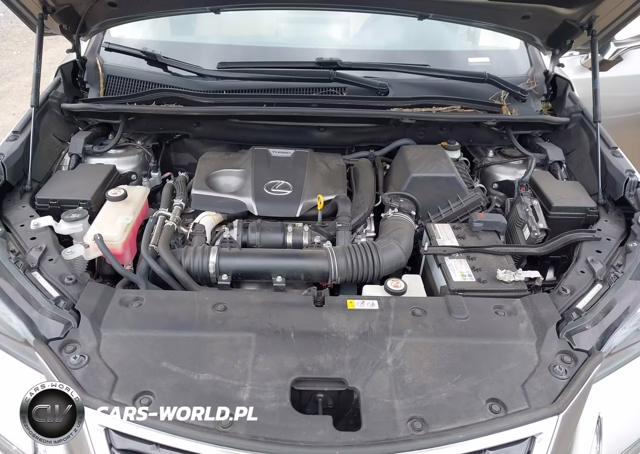 2021 Lexus Nx 300 VIN:JTJDARBZ9M2197000 - 10