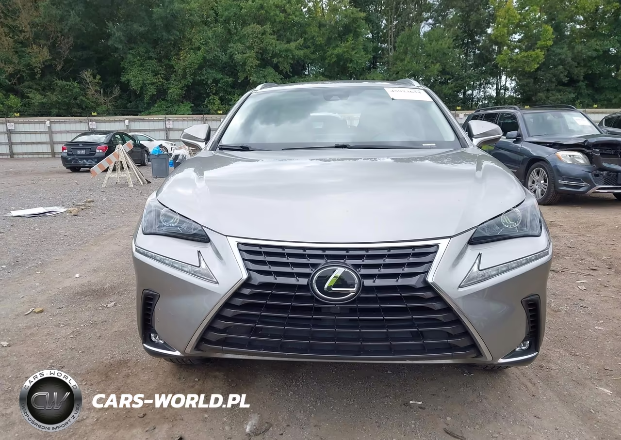 2021 Lexus Nx 300 VIN:JTJDARBZ9M2197000 - 12