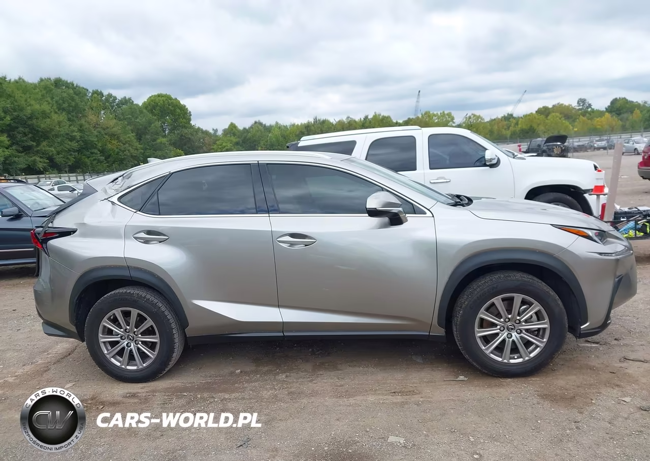 2021 Lexus Nx 300 VIN:JTJDARBZ9M2197000 - 13