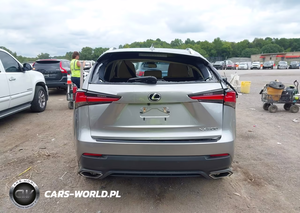 2021 Lexus Nx 300 VIN:JTJDARBZ9M2197000 - 16