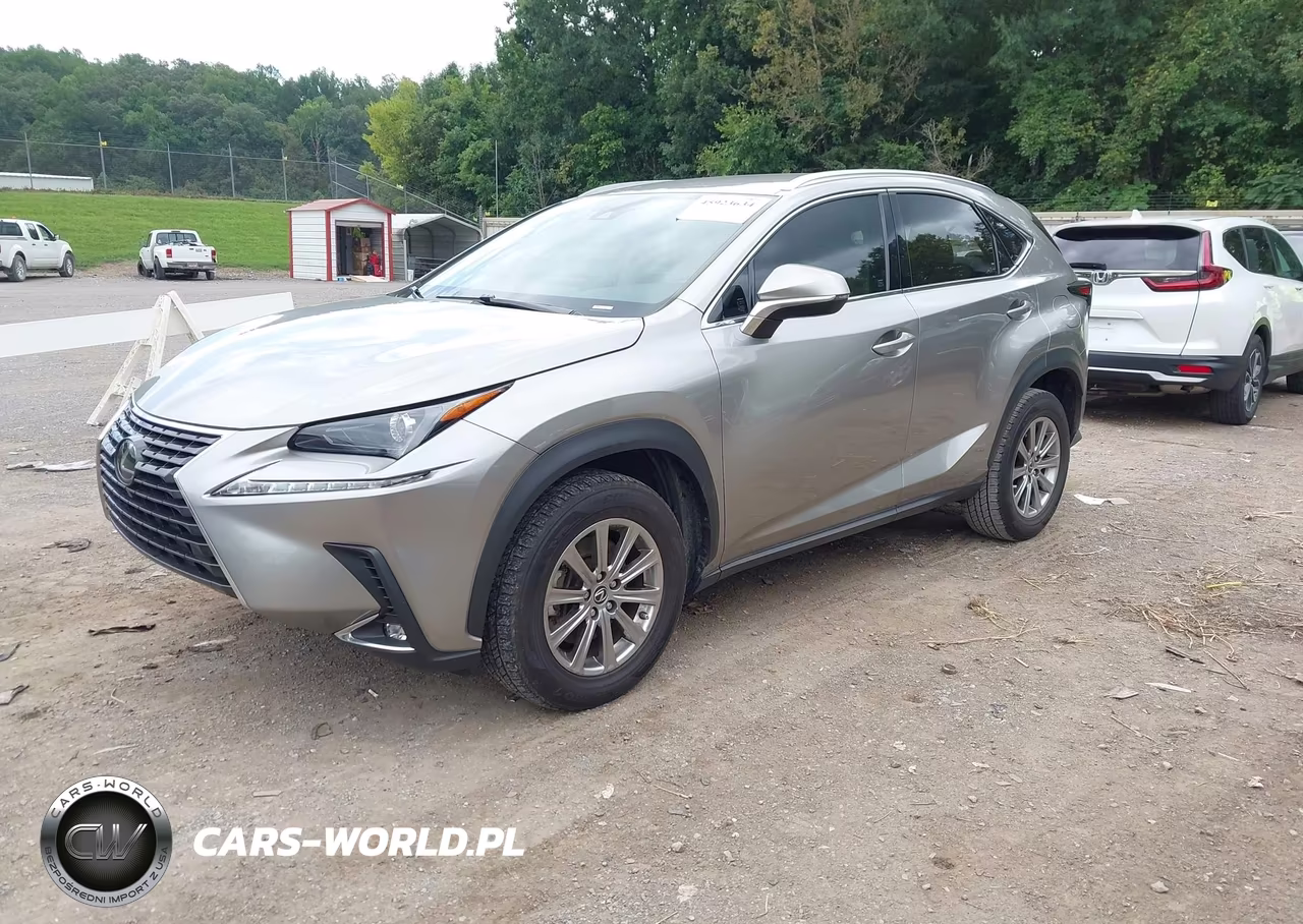 2021 Lexus Nx 300 VIN:JTJDARBZ9M2197000 - 2
