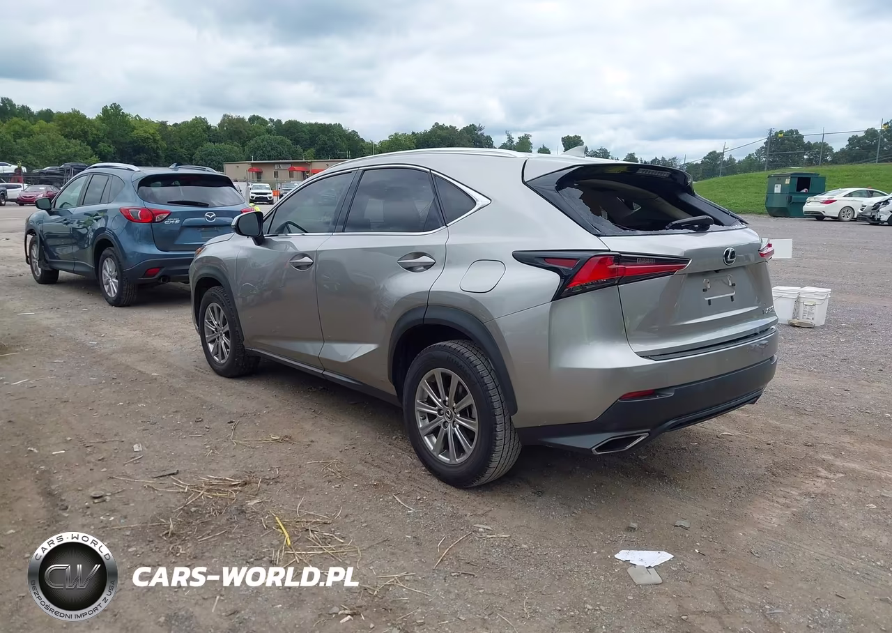 2021 Lexus Nx 300 VIN:JTJDARBZ9M2197000 - 3