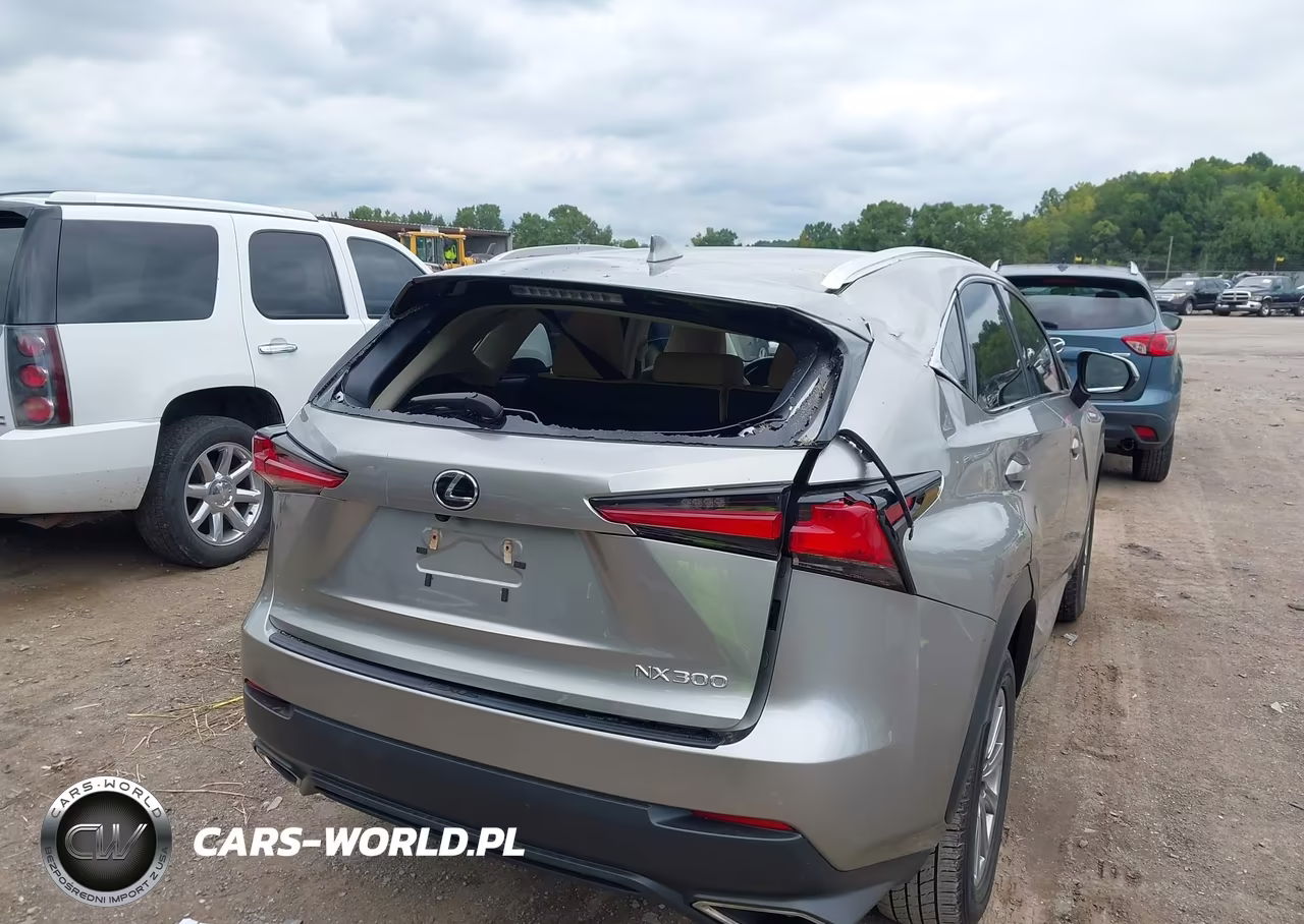 2021 Lexus Nx 300 VIN:JTJDARBZ9M2197000 - 6