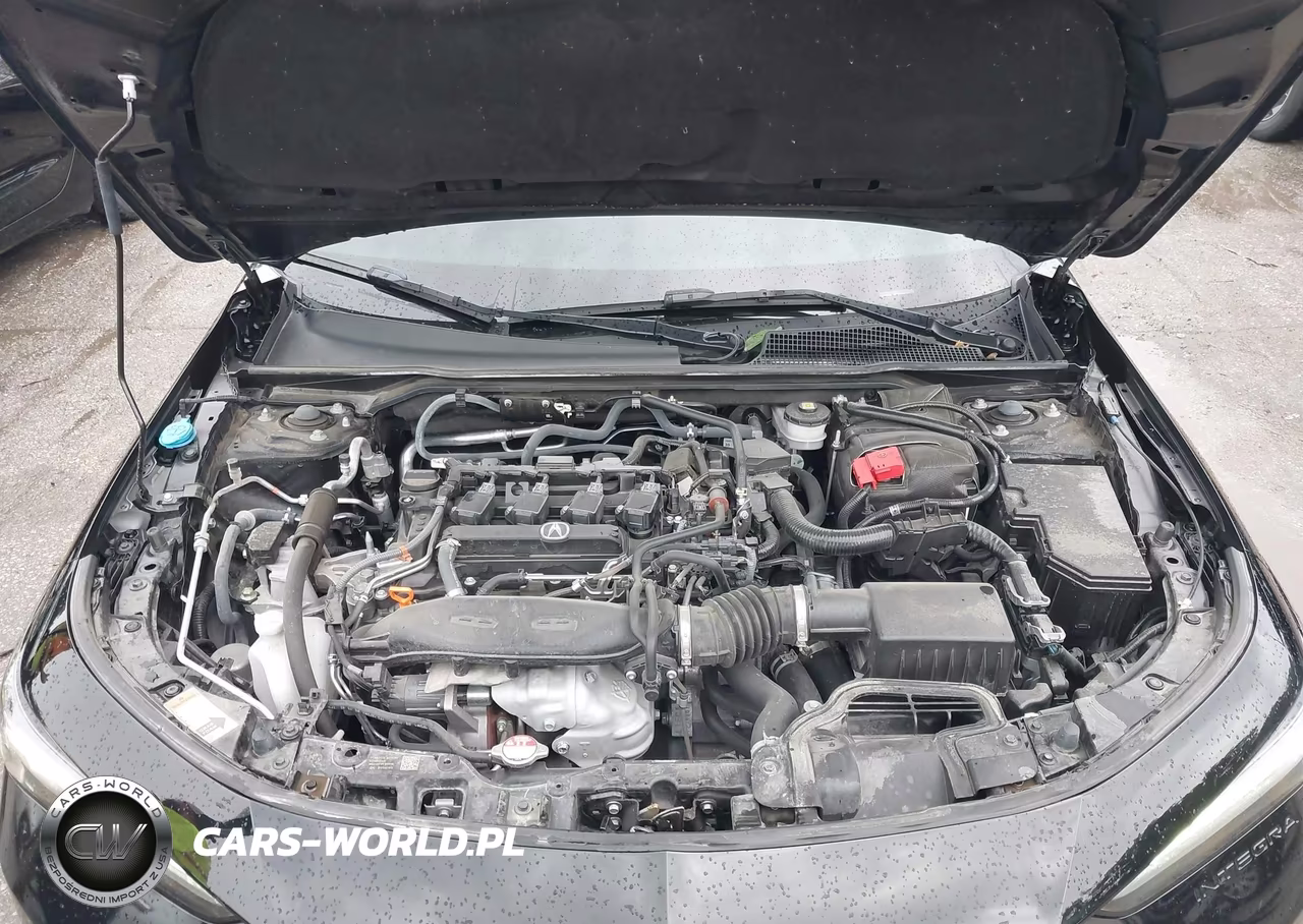 2024 Acura Integra VIN:19UDE4H24RA028733 - 10