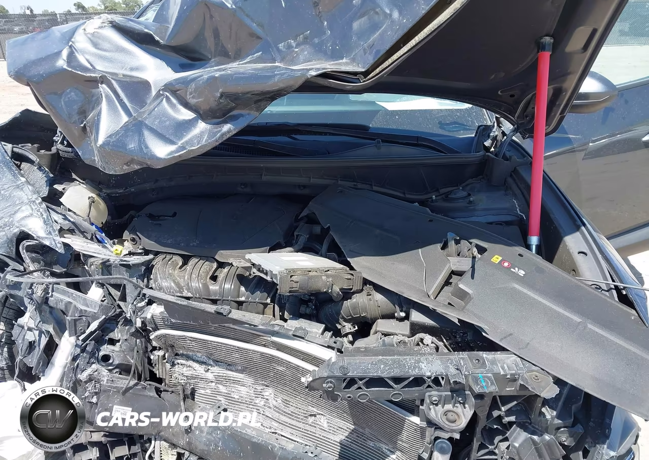 2024 Hyundai Tucson Sel VIN:5NMJB3DE2RH306684 - 10