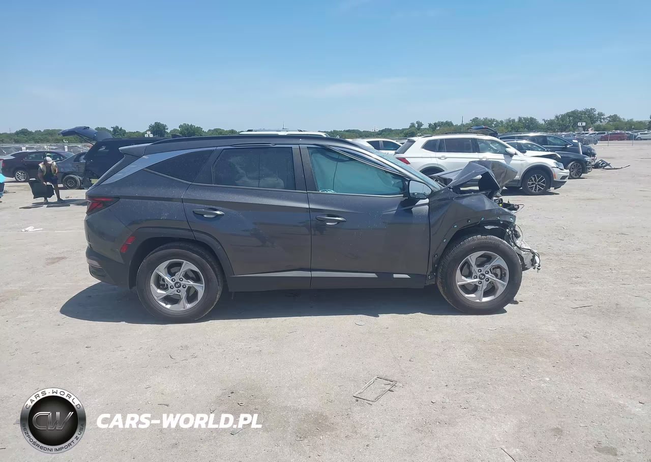 2024 Hyundai Tucson Sel VIN:5NMJB3DE2RH306684 - 13