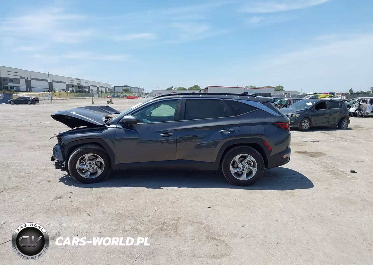 2024 Hyundai Tucson Sel VIN:5NMJB3DE2RH306684 - 14