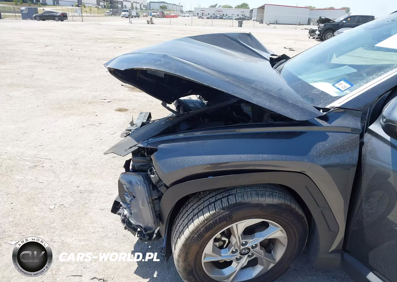 2024 Hyundai Tucson Sel VIN:5NMJB3DE2RH306684 - 6