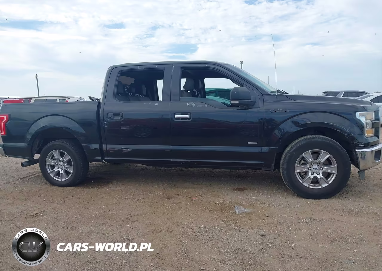 2015 Ford F-150 Xlt VIN:1FTEW1CP2FKD34305 - 12