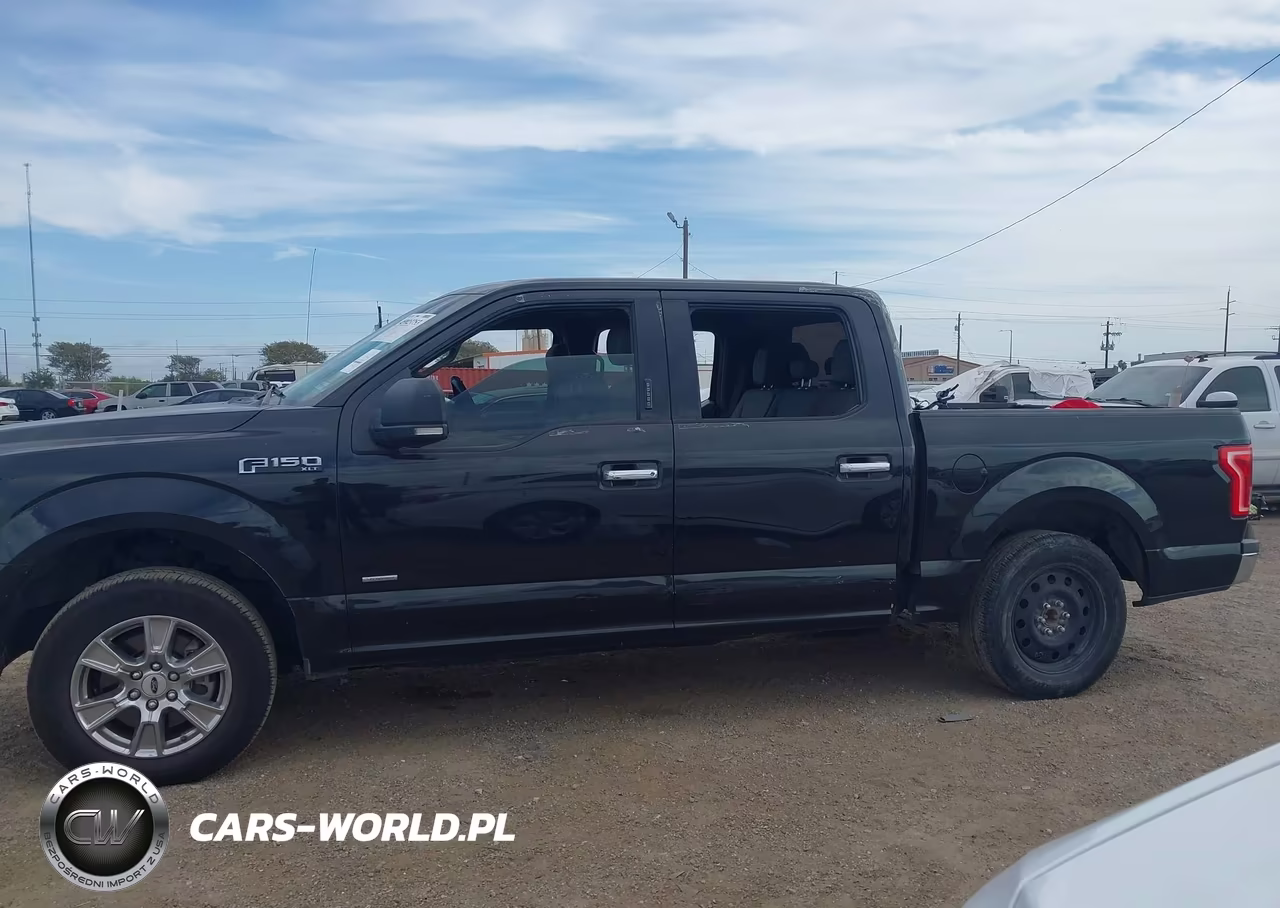 2015 Ford F-150 Xlt VIN:1FTEW1CP2FKD34305 - 13