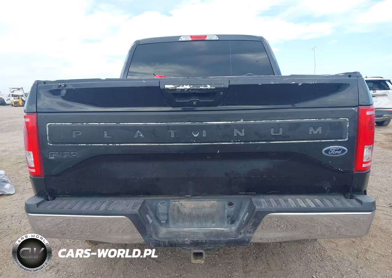 2015 Ford F-150 Xlt VIN:1FTEW1CP2FKD34305 - 15
