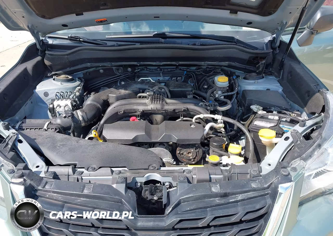 2018 Subaru Forester 2.5I VIN:JF2SJABCXJH529477 - 10