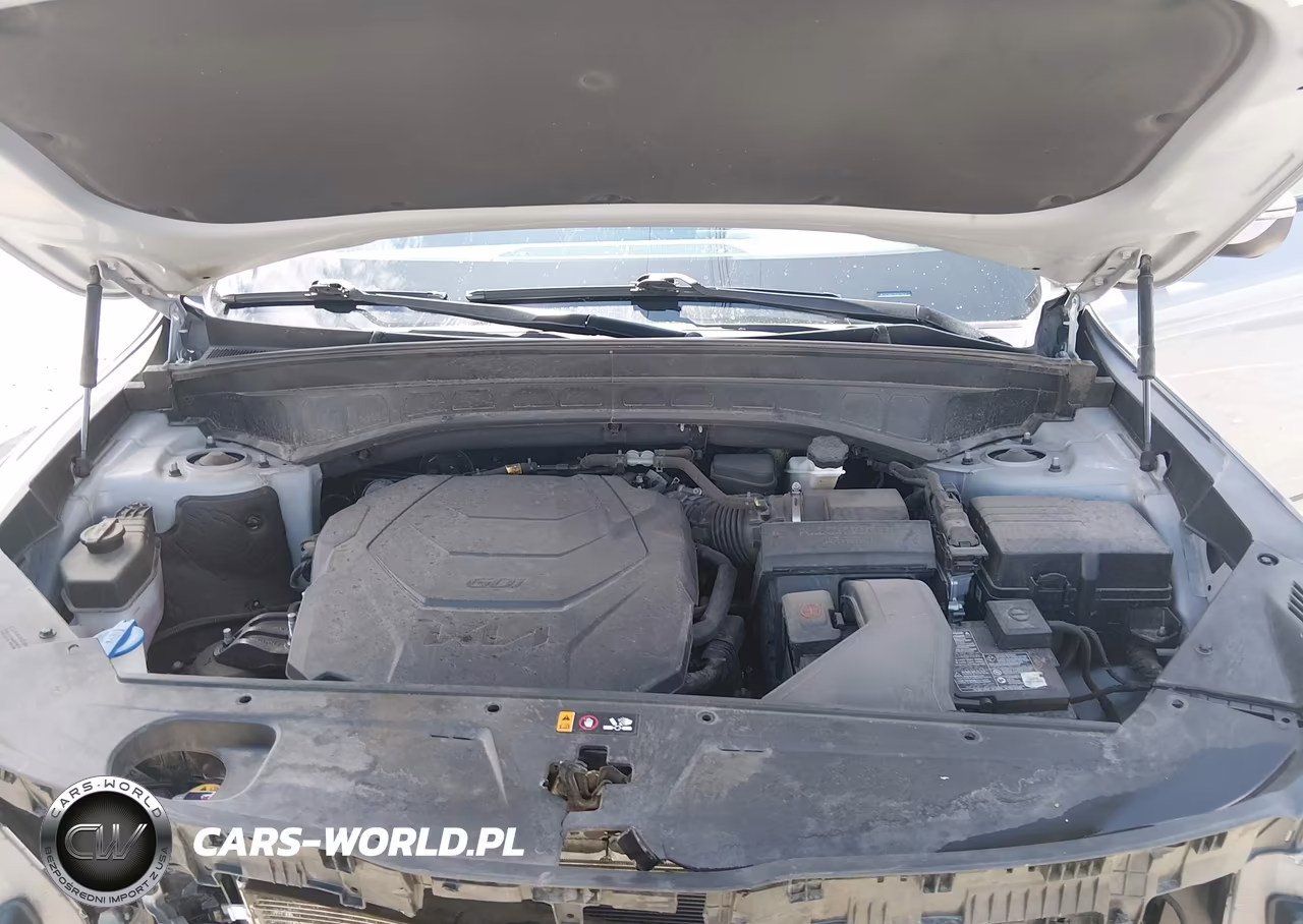 2023 Kia Telluride Ex X-Line VIN:5XYP3DGC5PG410519 - 10