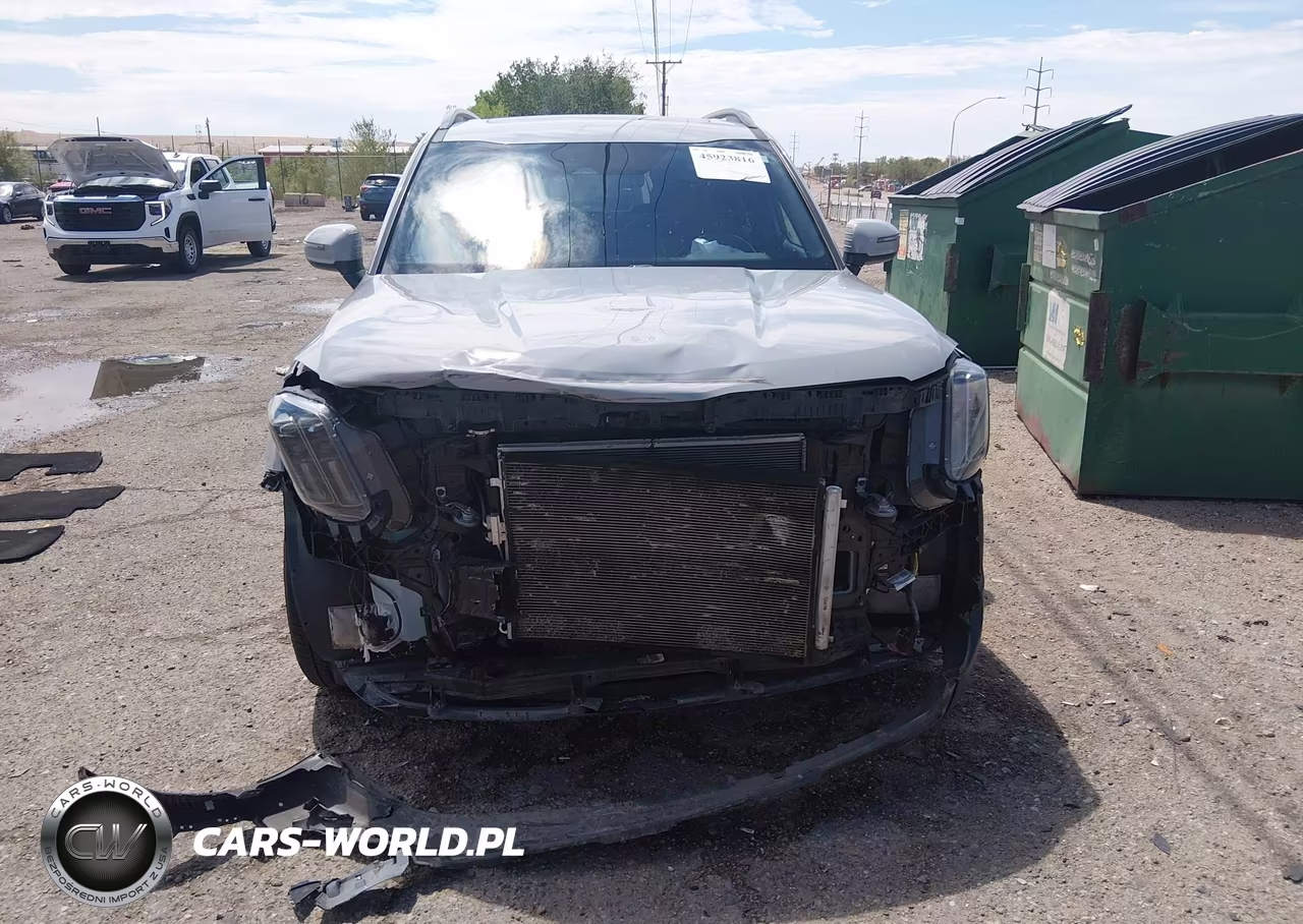 2023 Kia Telluride Ex X-Line VIN:5XYP3DGC5PG410519 - 13