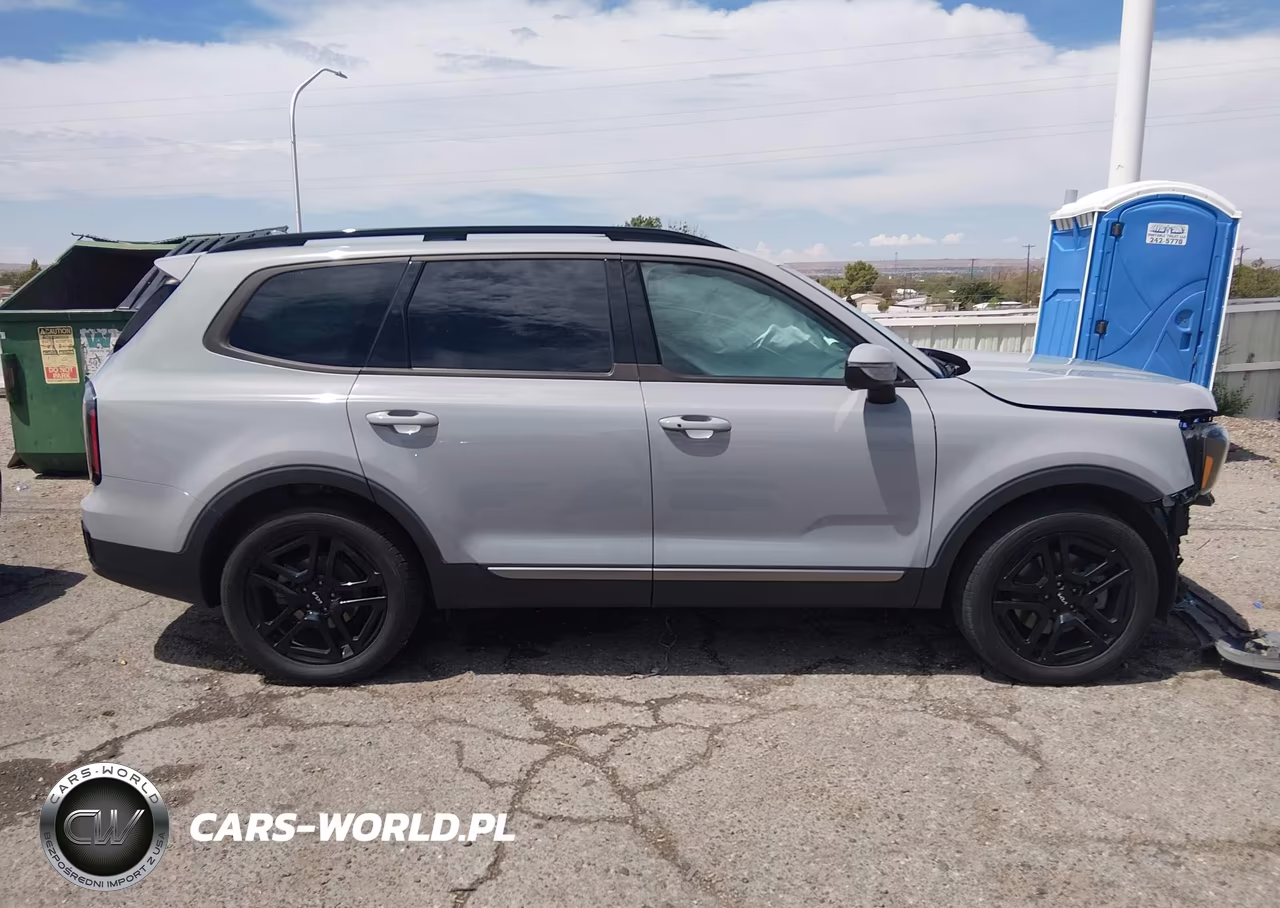 2023 Kia Telluride Ex X-Line VIN:5XYP3DGC5PG410519 - 14