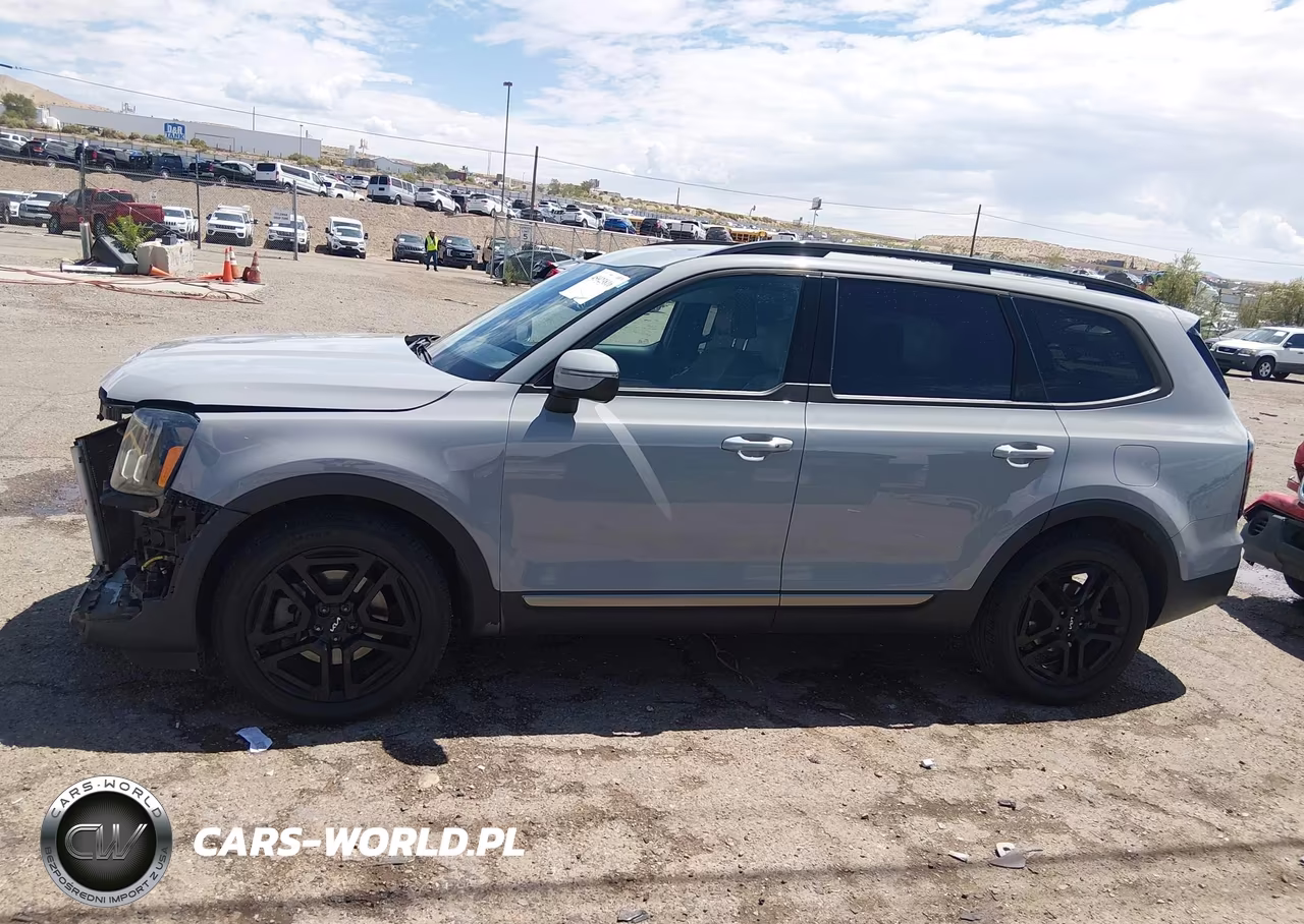 2023 Kia Telluride Ex X-Line VIN:5XYP3DGC5PG410519 - 15