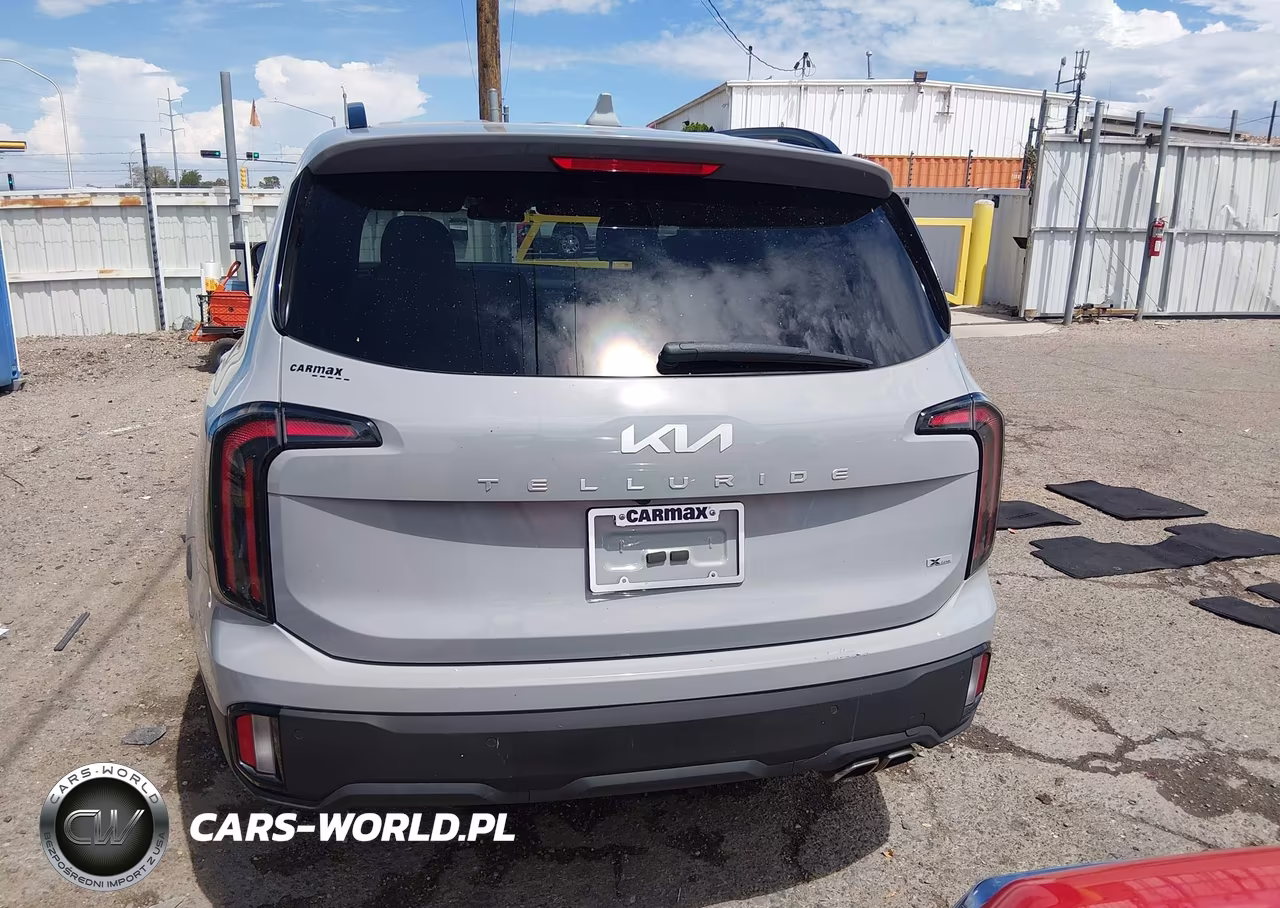 2023 Kia Telluride Ex X-Line VIN:5XYP3DGC5PG410519 - 17