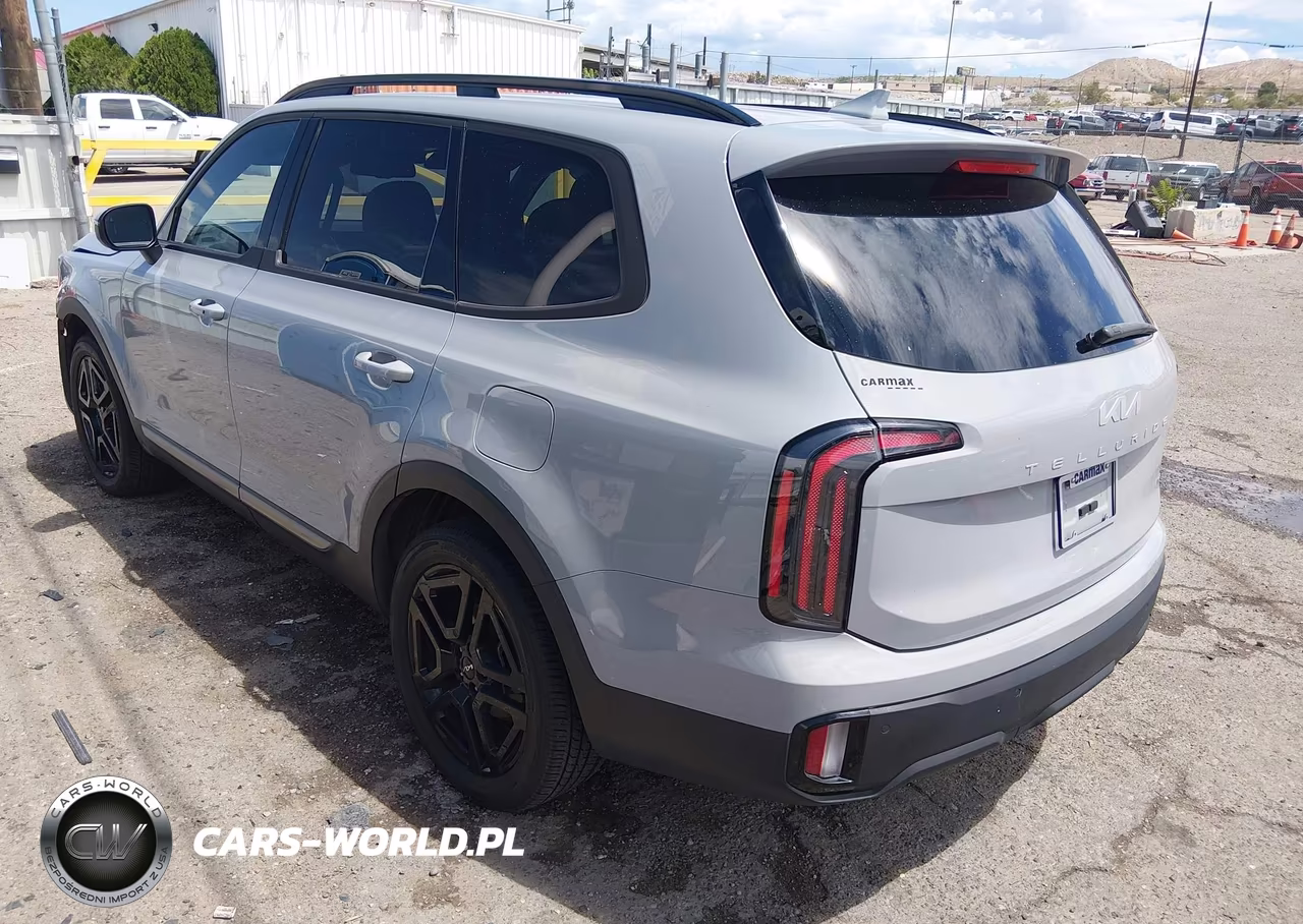 2023 Kia Telluride Ex X-Line VIN:5XYP3DGC5PG410519 - 3