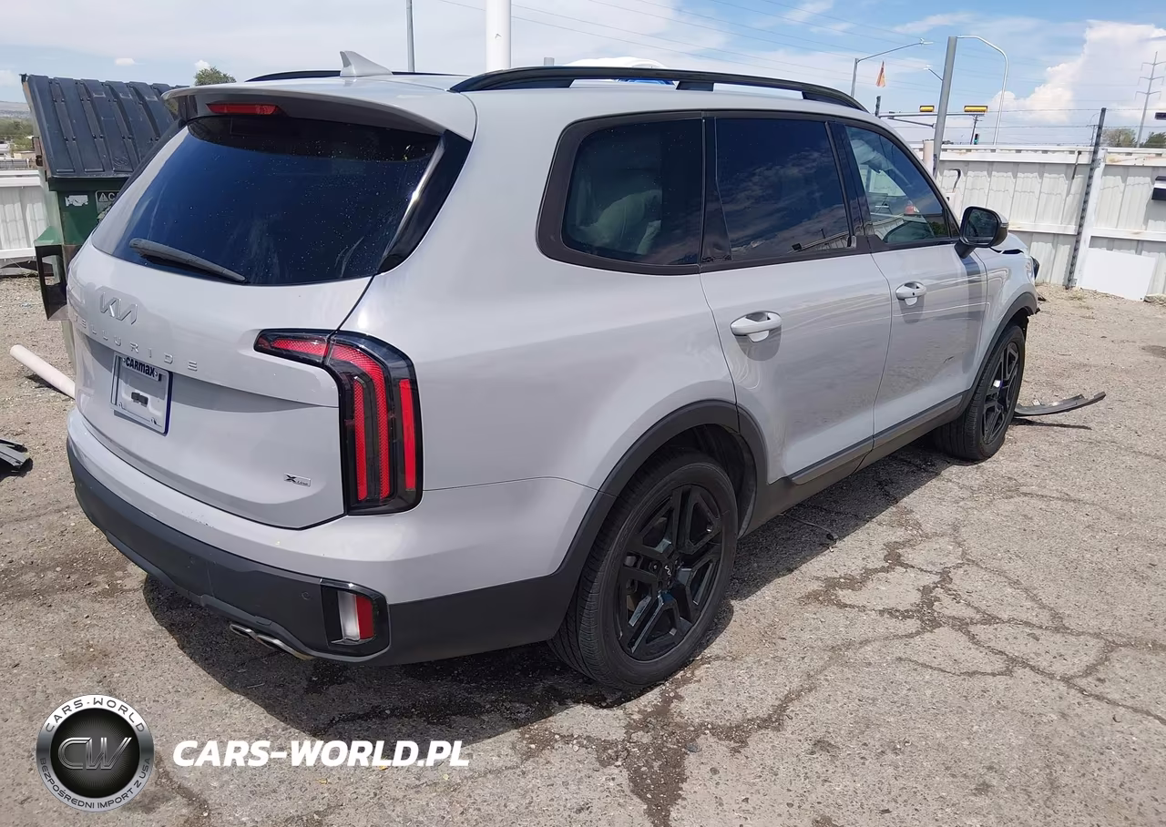 2023 Kia Telluride Ex X-Line VIN:5XYP3DGC5PG410519 - 4