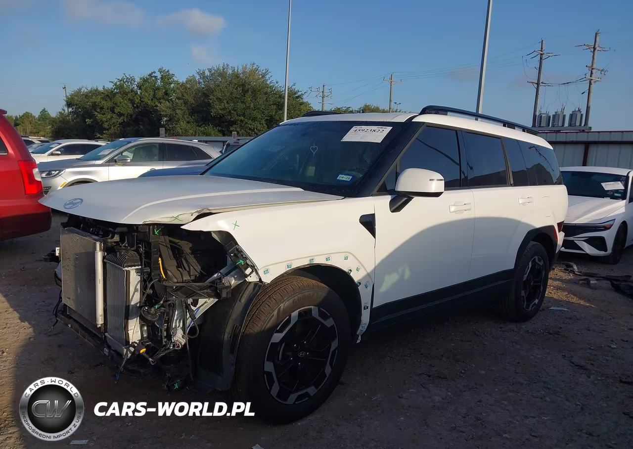 2024 Hyundai Santa Fe Sel VIN:5NMP24GL9RH034483 - 2