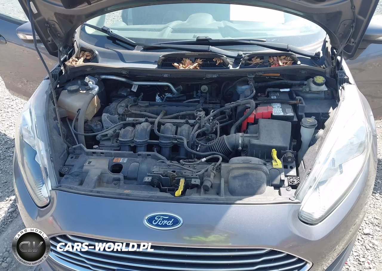 2014 Ford Fiesta Se VIN:3FADP4EJ6EM145334 - 10