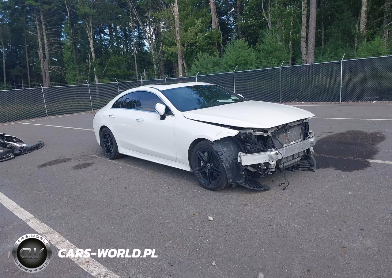 2019 Mercedes-Benz Cls 450 4Matic