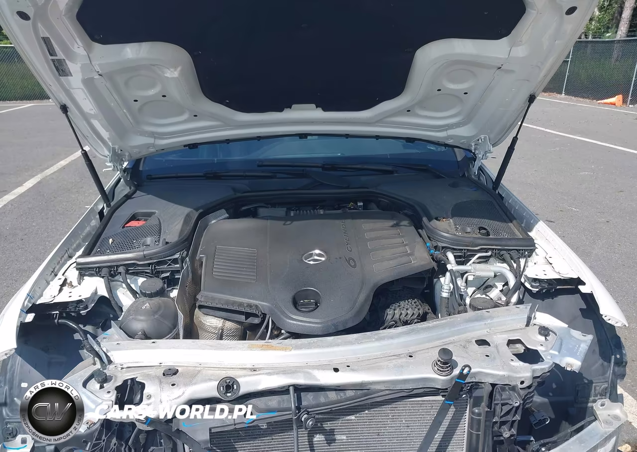 2019 Mercedes-Benz Cls 450 4Matic VIN:WDD2J5KB8KA009730 - 10