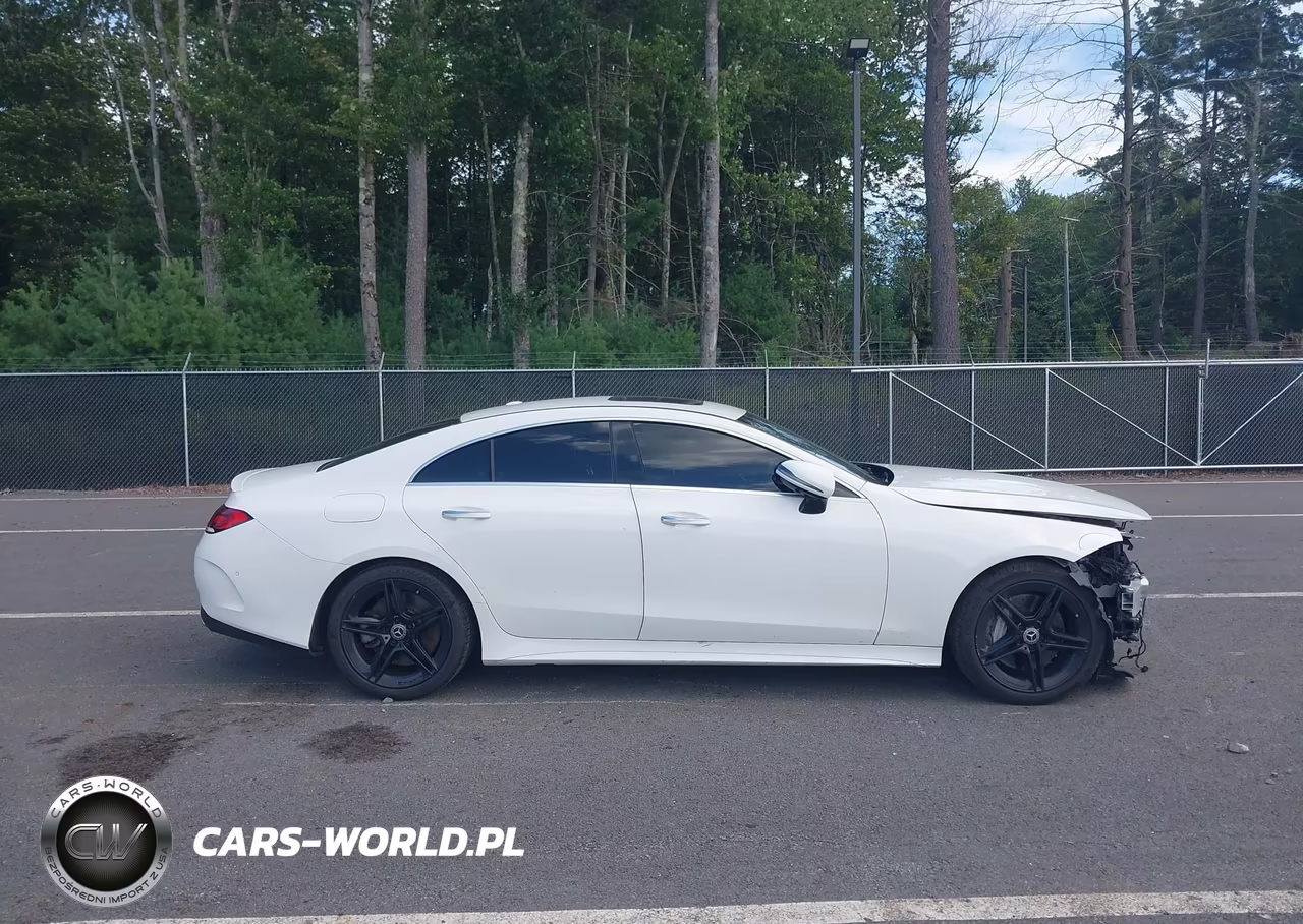 2019 Mercedes-Benz Cls 450 4Matic VIN:WDD2J5KB8KA009730 - 14