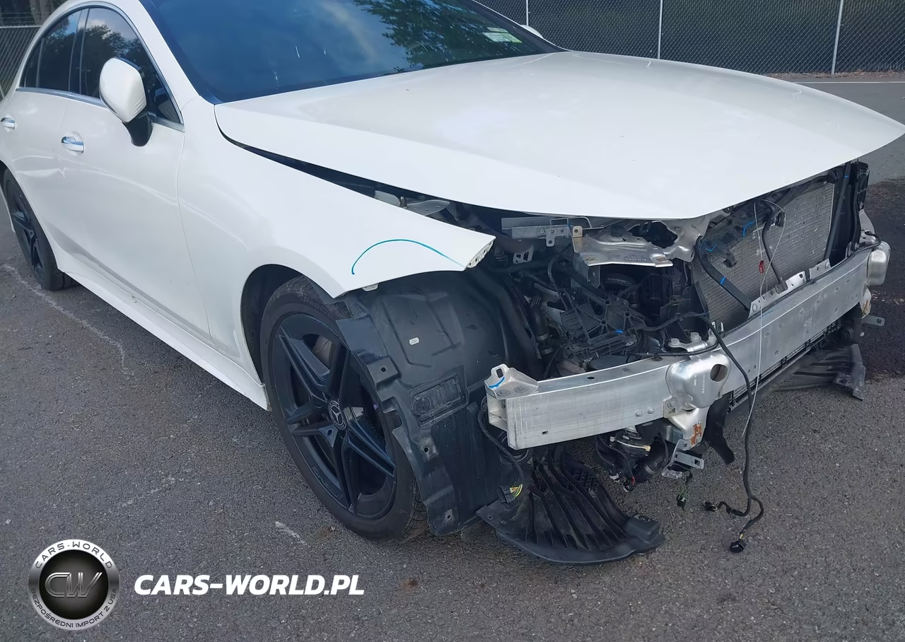 2019 Mercedes-Benz Cls 450 4Matic VIN:WDD2J5KB8KA009730 - 18