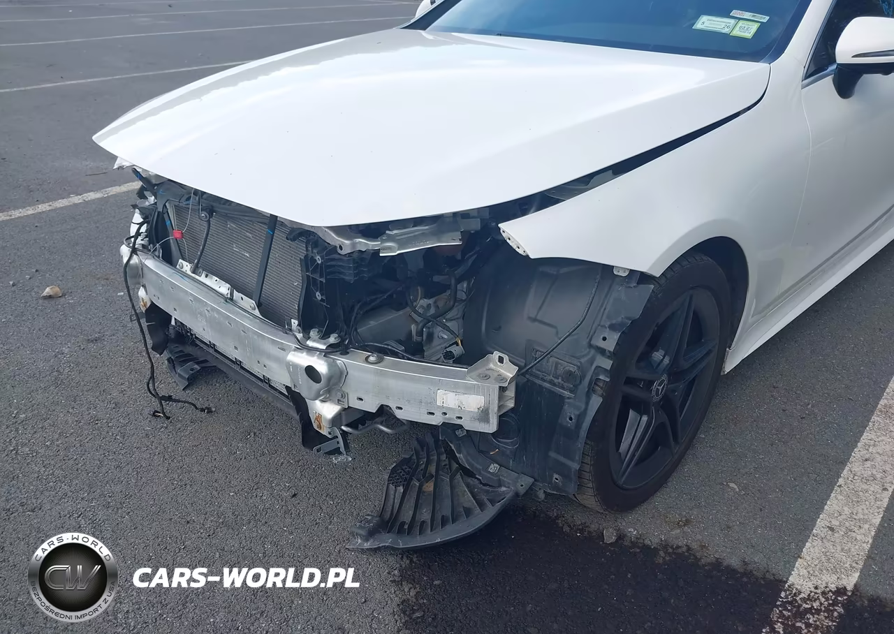 2019 Mercedes-Benz Cls 450 4Matic VIN:WDD2J5KB8KA009730 - 19