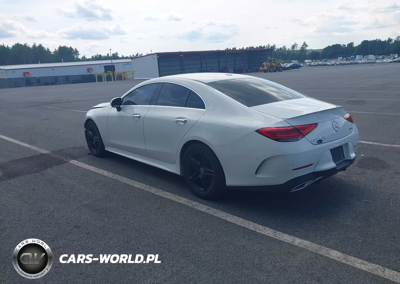 2019 Mercedes-Benz Cls 450 4Matic VIN:WDD2J5KB8KA009730 - 3