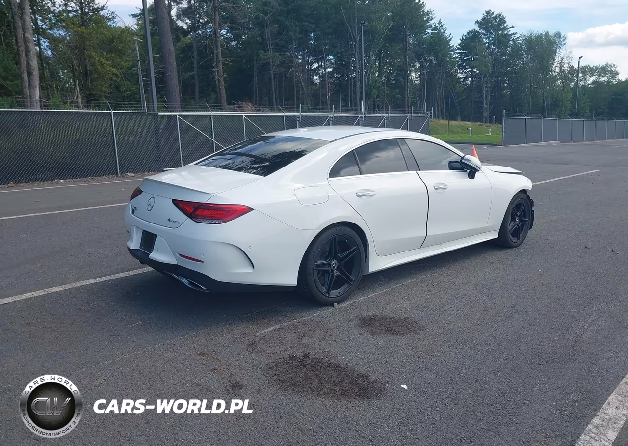2019 Mercedes-Benz Cls 450 4Matic VIN:WDD2J5KB8KA009730 - 4