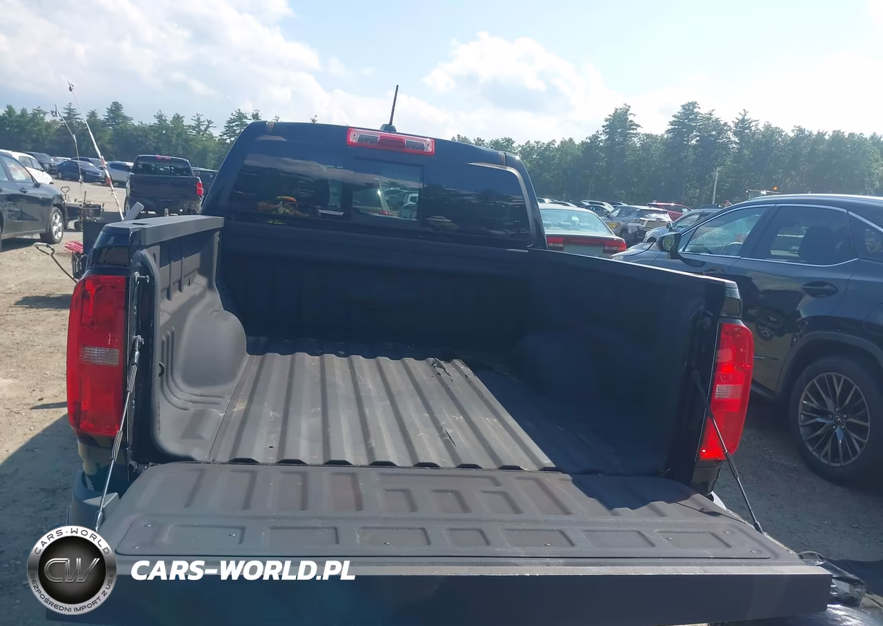2020 Chevrolet Colorado 4Wd Short Box Z71 VIN:1GCGTDEN5L1182617 - 19