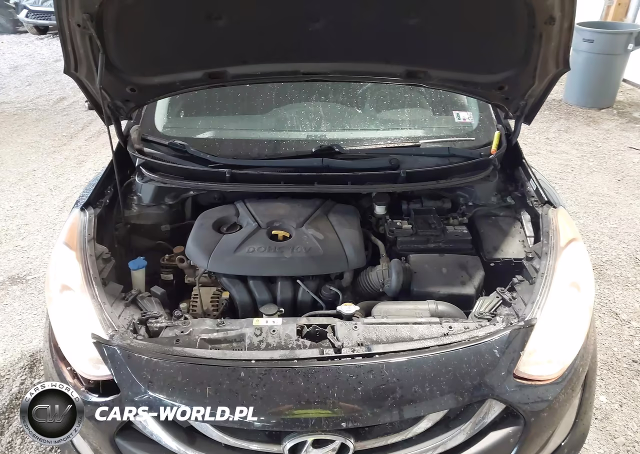 2013 Hyundai Elantra Gt VIN:KMHD35LE6DU073218 - 10